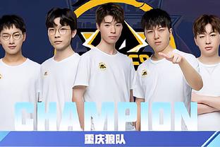 武术套路看